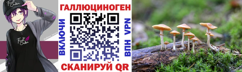 Галлюциногенные грибы Magic Shrooms  МЕГА вход  Белово 