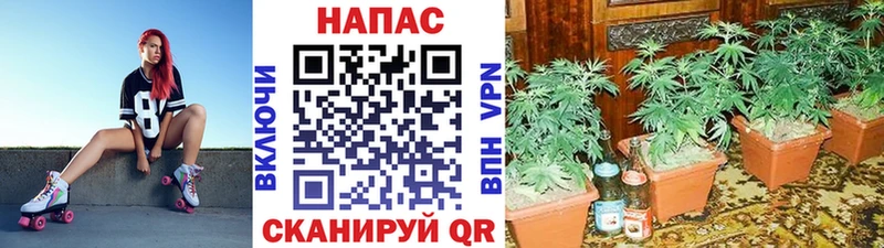 нарко площадка состав  Белово  Каннабис Bruce Banner 
